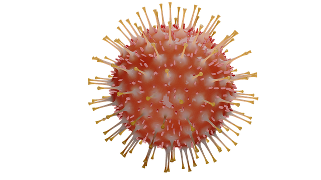 hantavirus